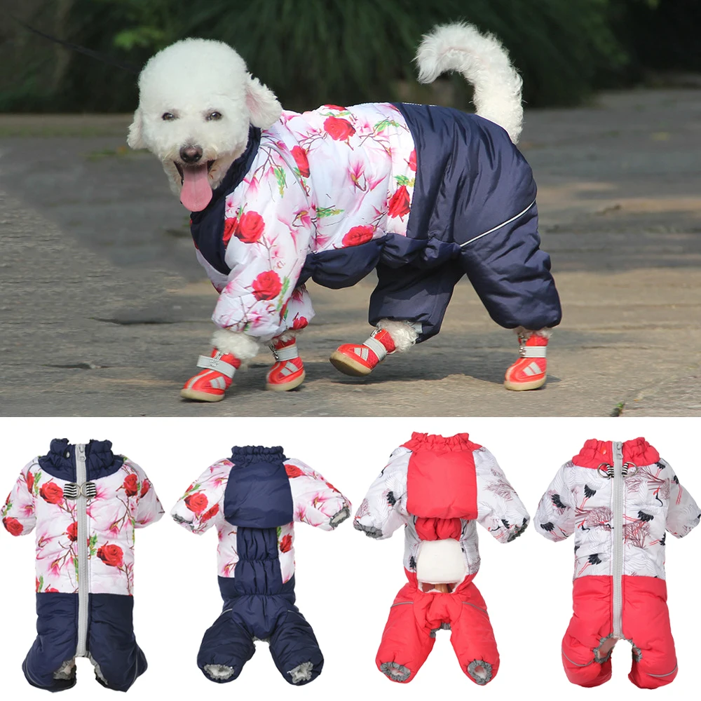 Abbigliamento Invernale per An - Winter Clothing For Toddlers recensione e prezzo